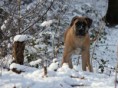 /album/keistad-amy/wandelen-272-jpg/